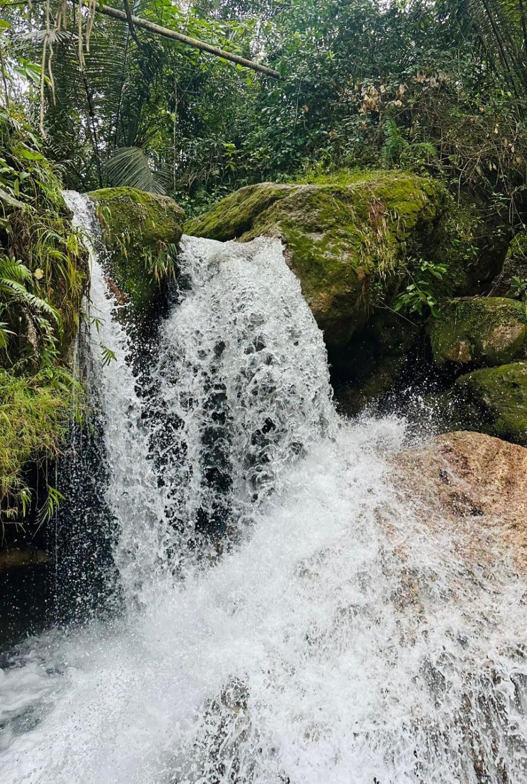 D'Flora Homestay Labuan Bajo Eksteriør billede