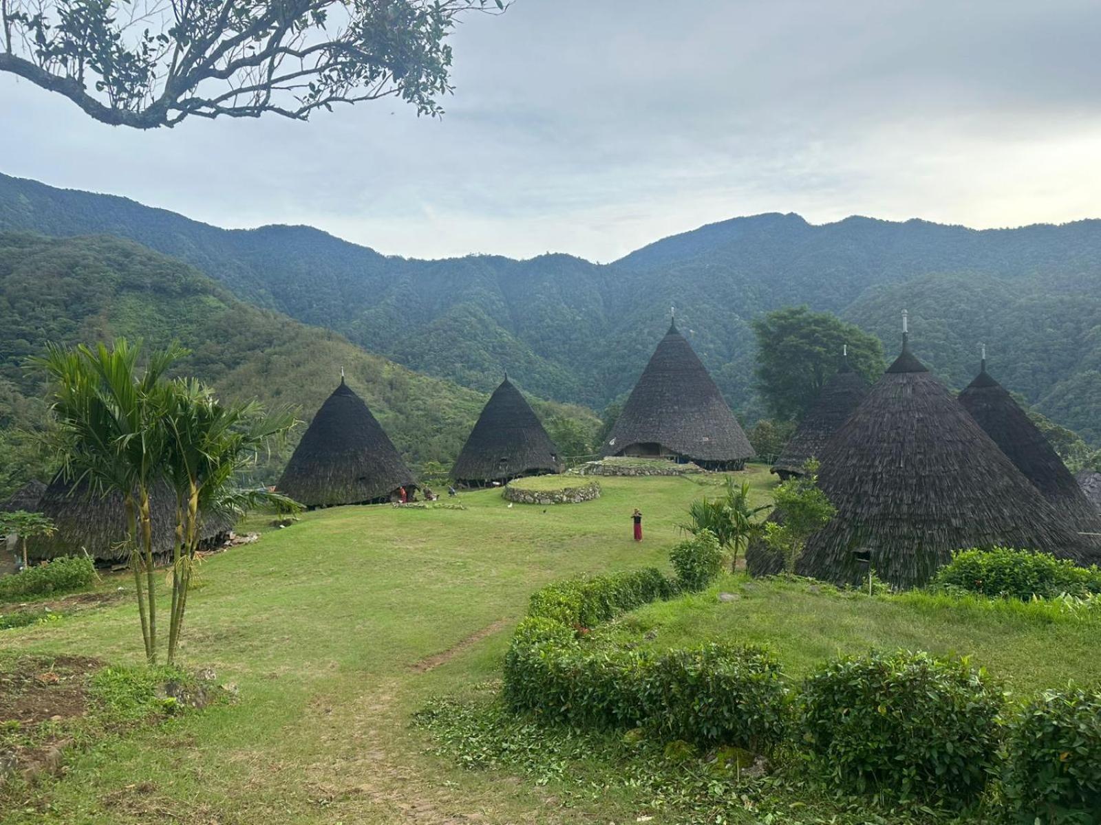 D'Flora Homestay Labuan Bajo Eksteriør billede