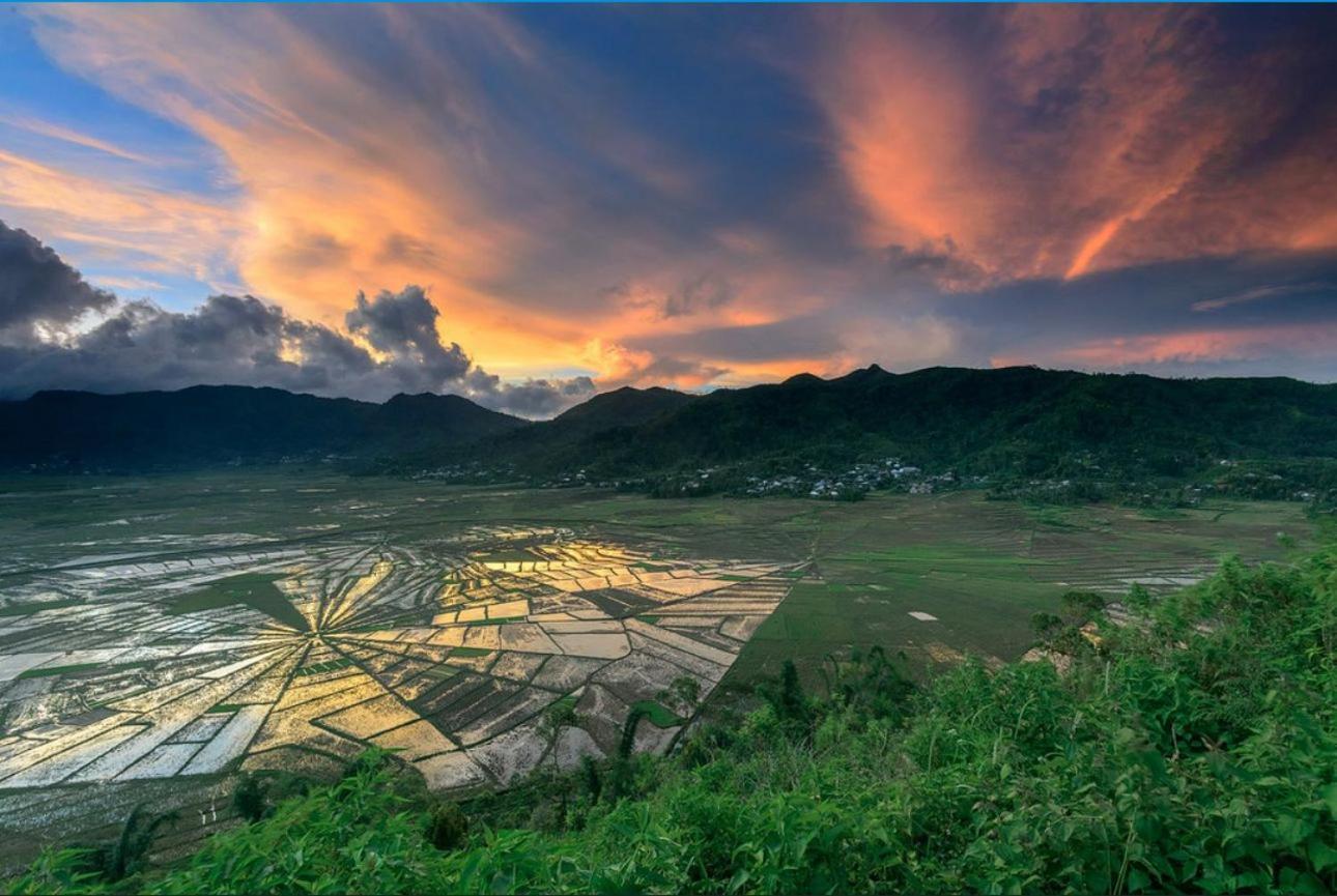D'Flora Homestay Labuan Bajo Eksteriør billede