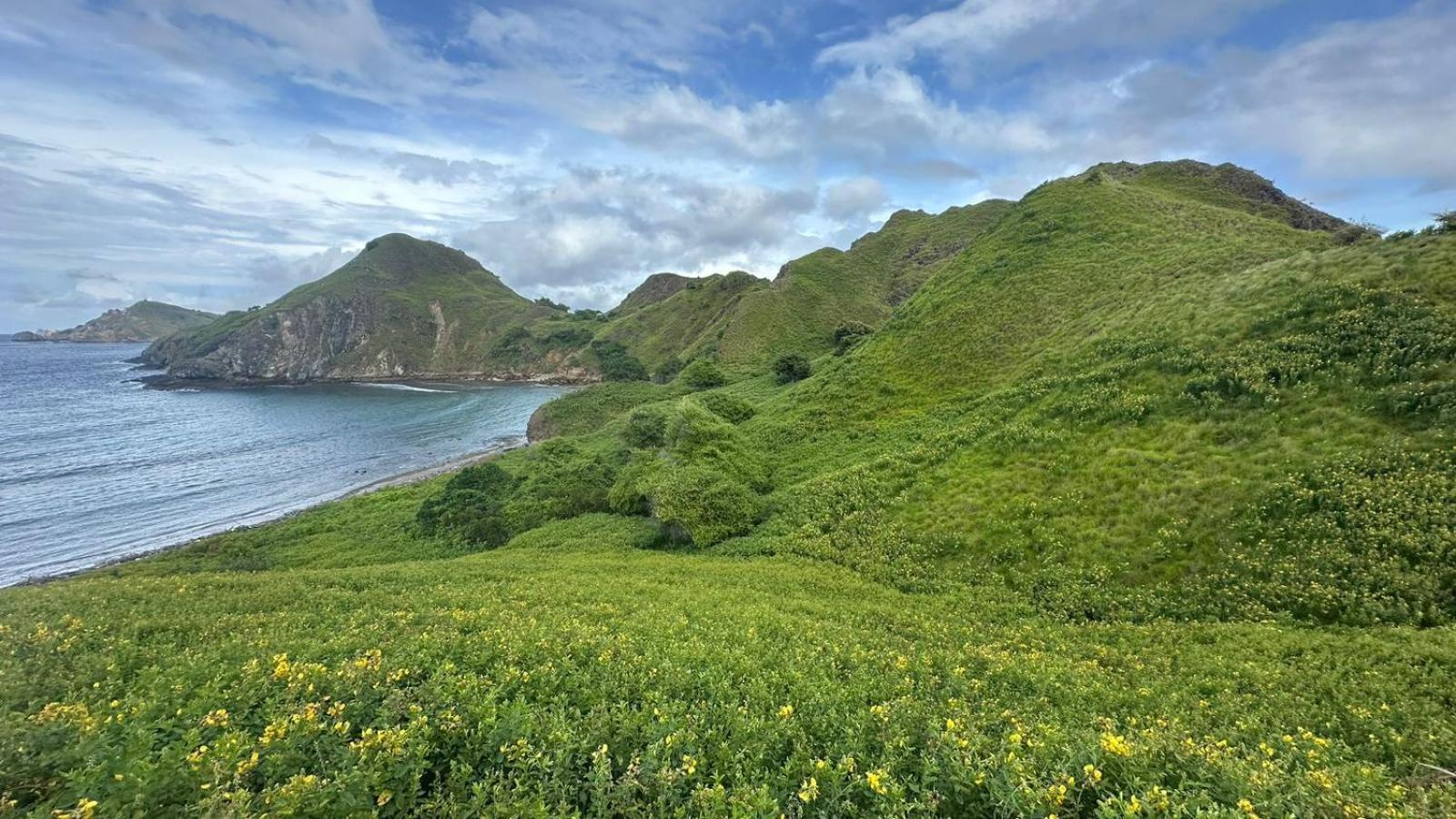 D'Flora Homestay Labuan Bajo Eksteriør billede