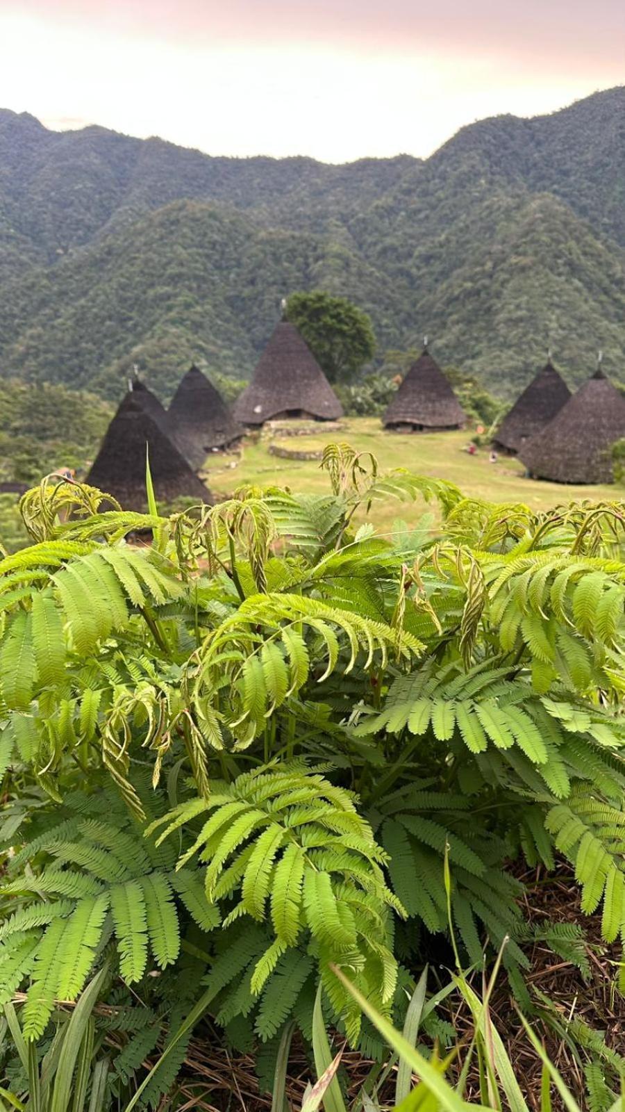 D'Flora Homestay Labuan Bajo Eksteriør billede